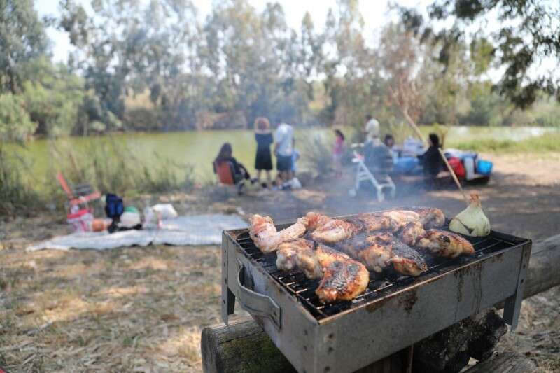 על האש באזור נחל אלכסנדר // צילום: גדעון מרקוביץ'